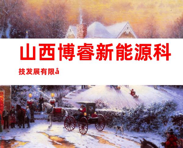 山西博睿新能源科技发展有限公司