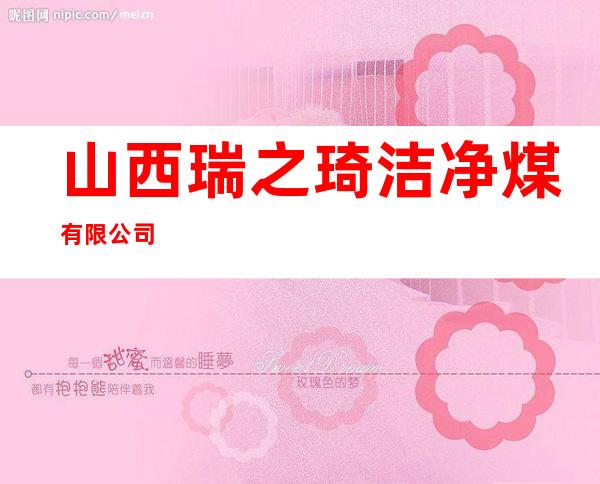山西瑞之琦洁净煤有限公司