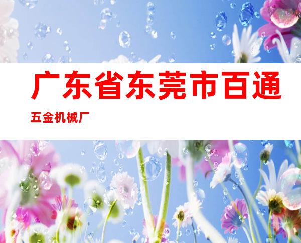 广东省东莞市百通五金机械厂