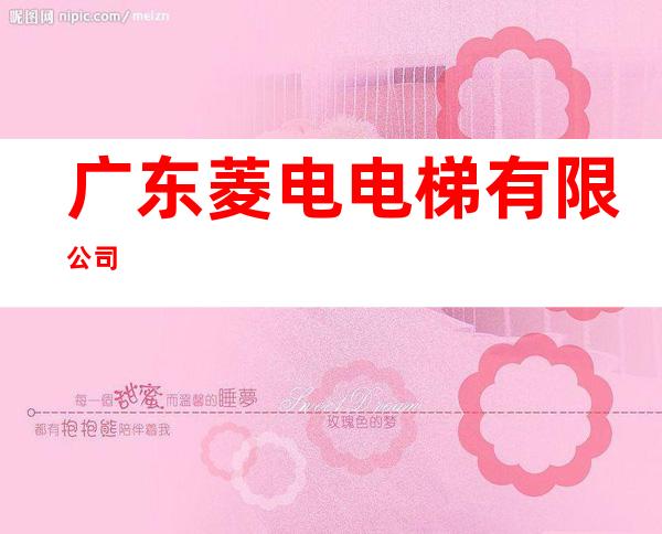 广东菱电电梯有限公司