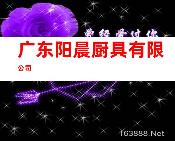 广东阳晨厨具有限公司