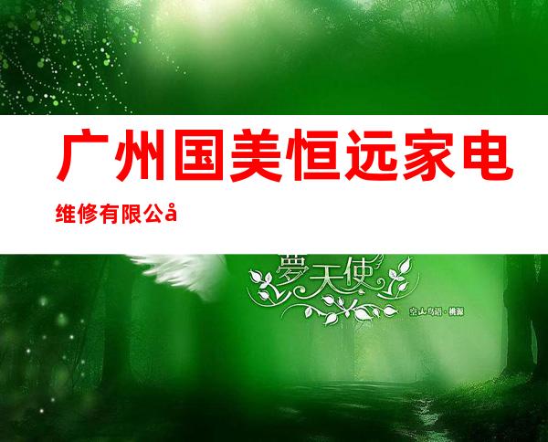 广州国美恒远家电维修有限公司海南分公司
