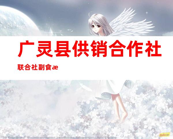 广灵县供销合作社联合社副食日杂公司