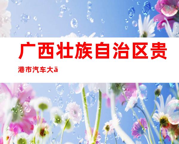广西壮族自治区贵港市汽车大修厂
