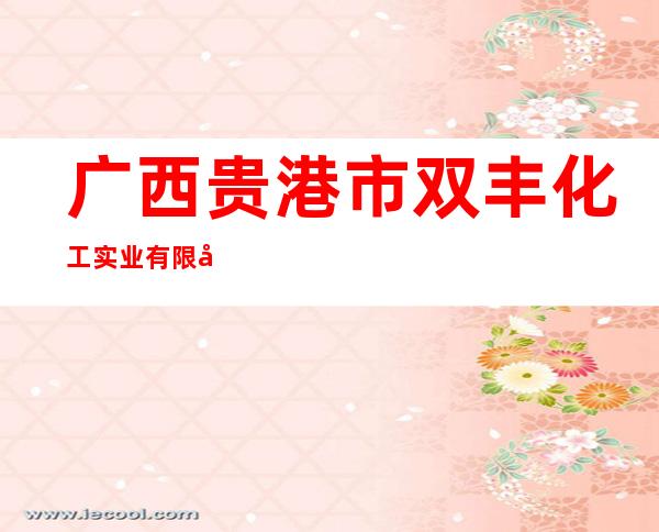广西贵港市双丰化工实业有限公司