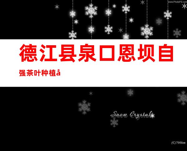 德江县泉口恩坝自强茶叶种植场