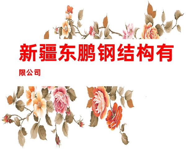新疆东鹏钢结构有限公司