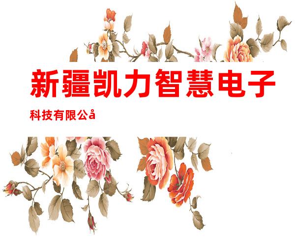 新疆凯力智慧电子科技有限公司
