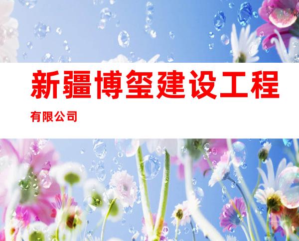 新疆博玺建设工程有限公司