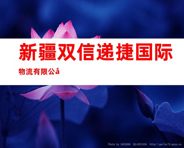 新疆双信递捷国际物流有限公司