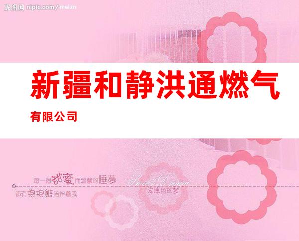 新疆和静洪通燃气有限公司