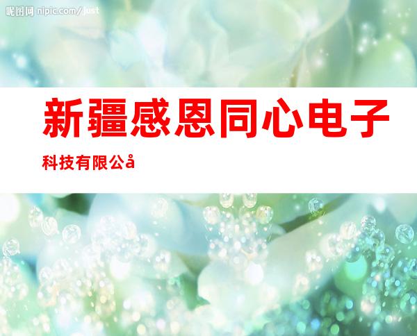 新疆感恩同心电子科技有限公司
