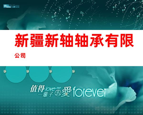 新疆新轴轴承有限公司