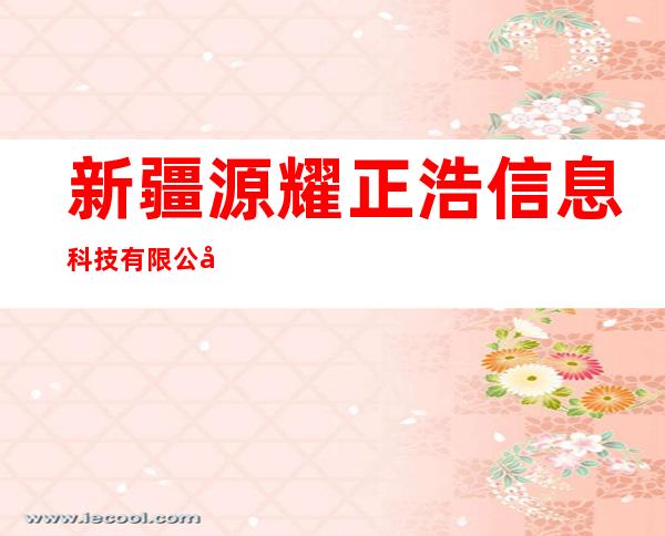 新疆源耀正浩信息科技有限公司