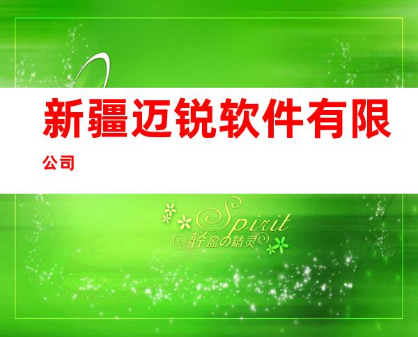 新疆迈锐软件有限公司