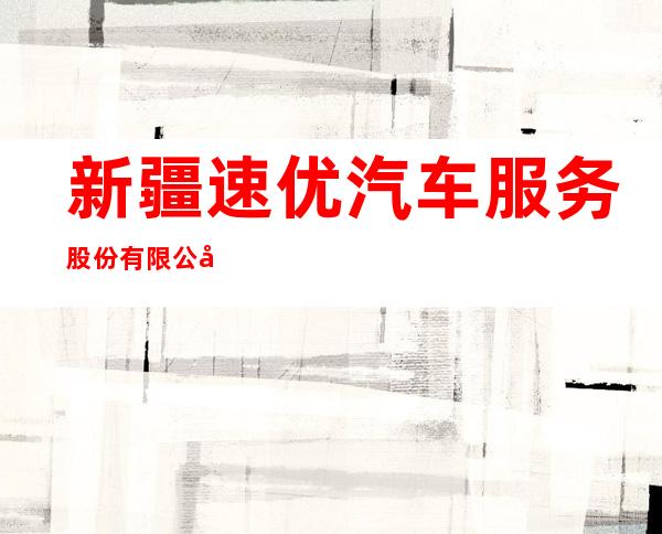 新疆速优汽车服务股份有限公司