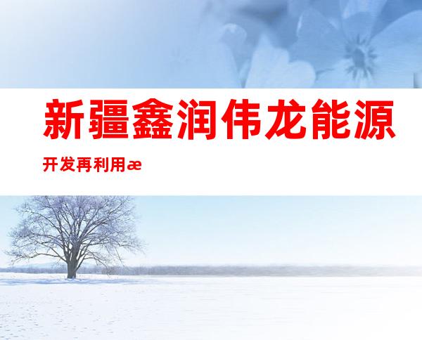 新疆鑫润伟龙能源开发再利用有限公司