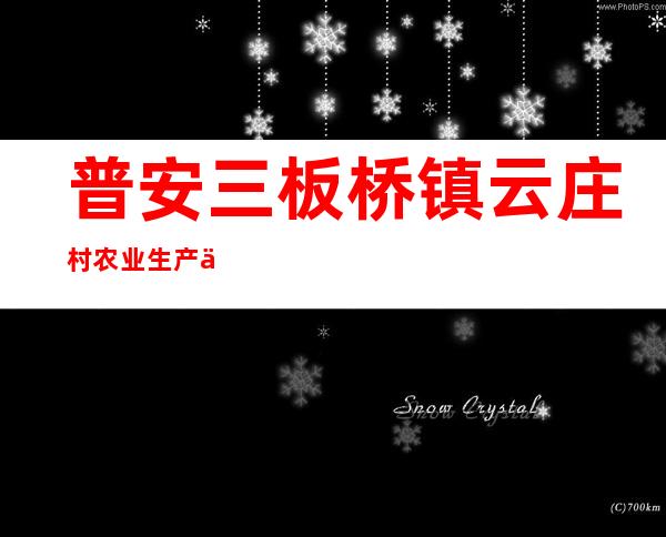 普安三板桥镇云庄村农业生产专业合作社