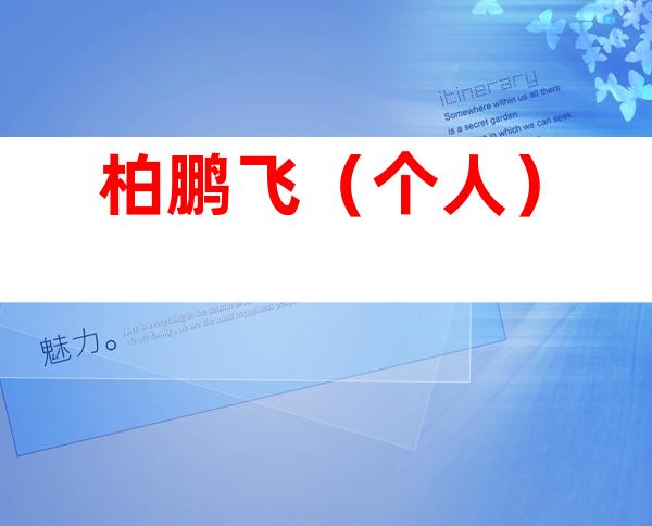 柏鹏飞（个人）