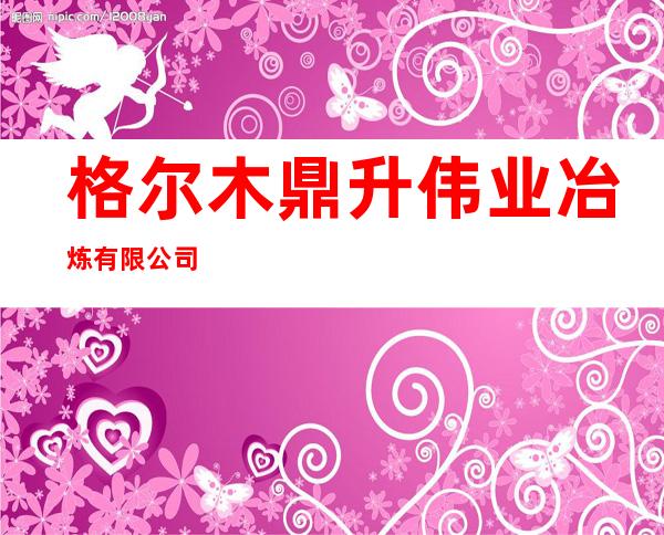 格尔木鼎升伟业冶炼有限公司