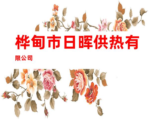 桦甸市日晖供热有限公司