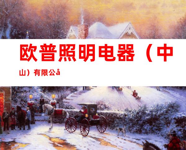 欧普照明电器(中山)有限公司