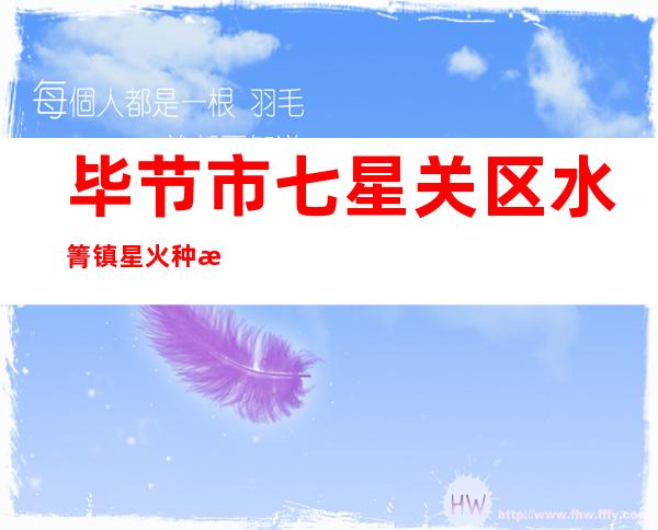 毕节市七星关区水箐镇星火种植专业合作社
