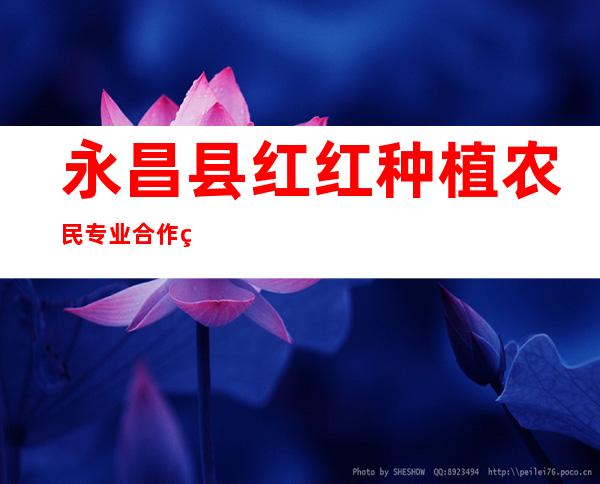 永昌县红红种植农民专业合作社