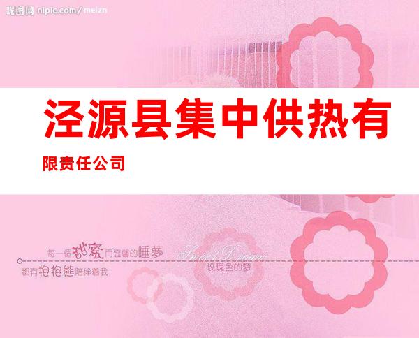 泾源县集中供热有限责任公司
