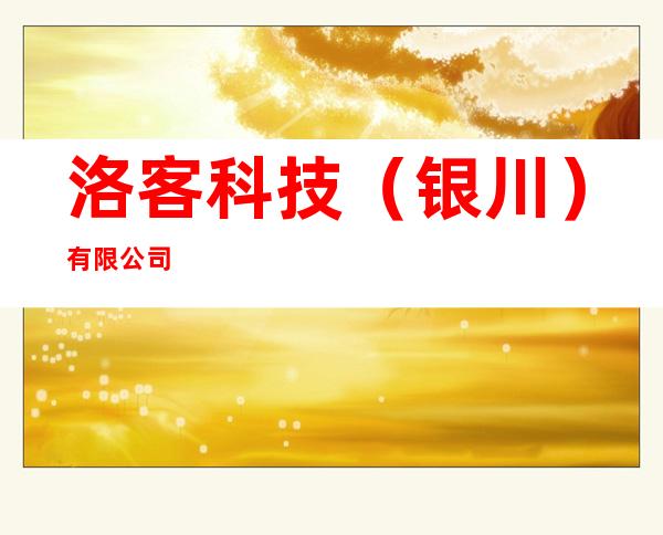 洛客科技(银川)有限公司