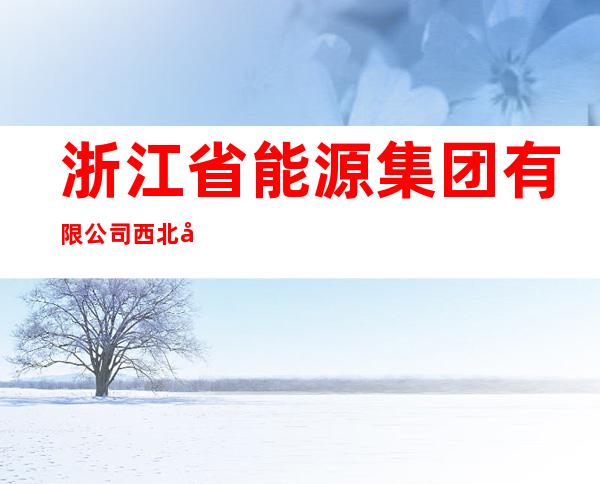 浙江省能源集团有限公司西北分公司
