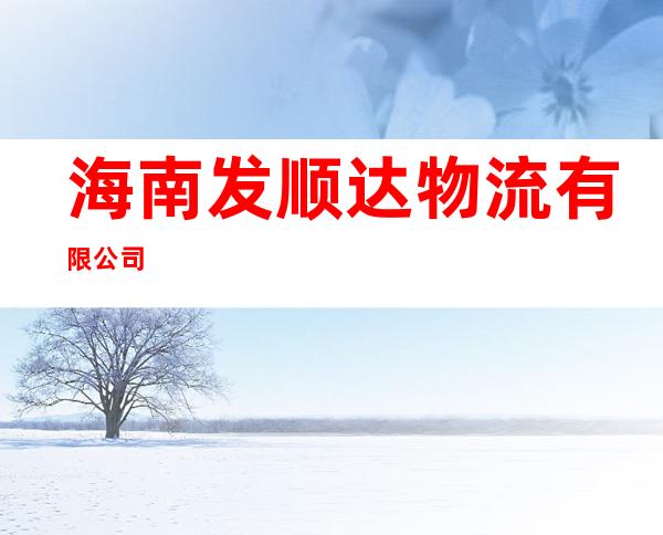 海南发顺达物流有限公司