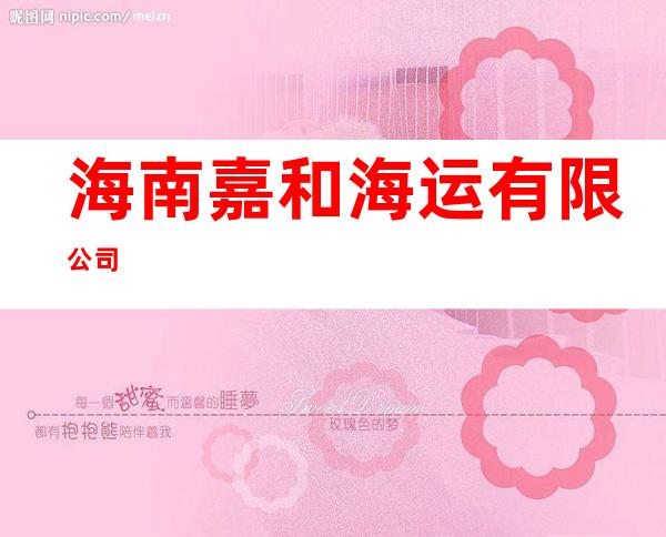 海南嘉和海运有限公司