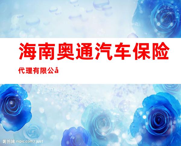 海南奥通汽车保险代理有限公司