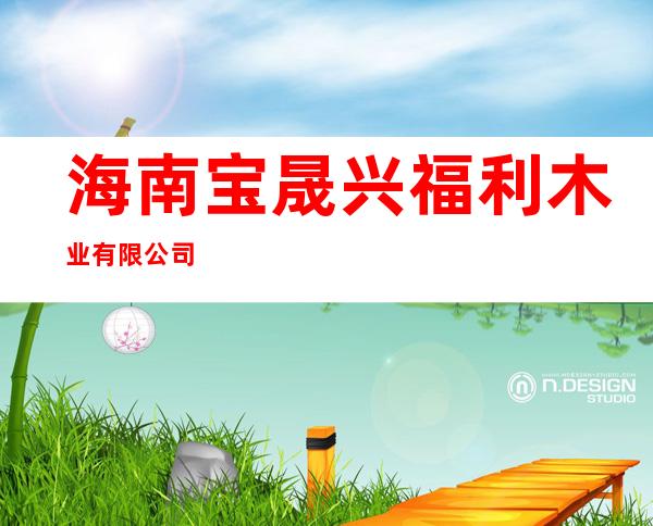 海南宝晟兴福利木业有限公司