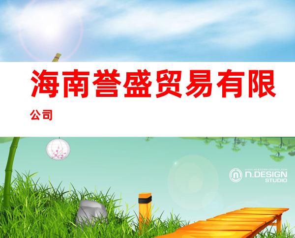 海南誉盛贸易有限公司