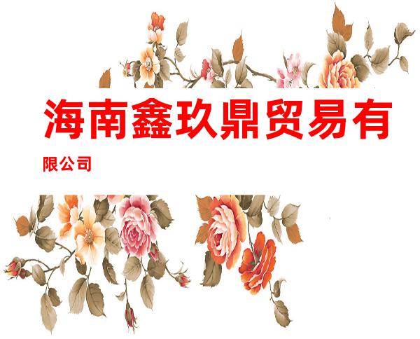 海南鑫玖鼎贸易有限公司