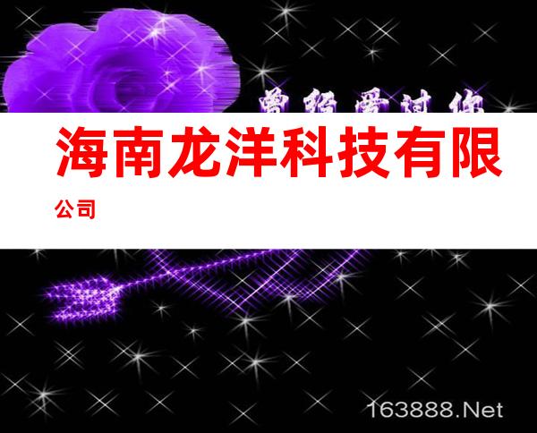 海南龙洋科技有限公司