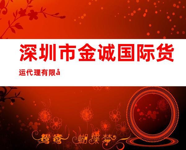 深圳市金诚国际货运代理有限公司