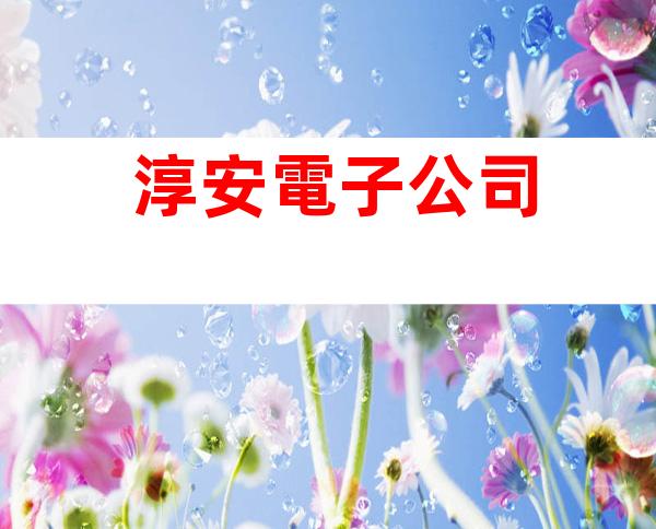 淳安電子公司
