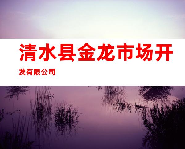 清水县金龙市场开发有限公司