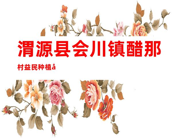 渭源县会川镇醋那村益民种植农民专业合作社