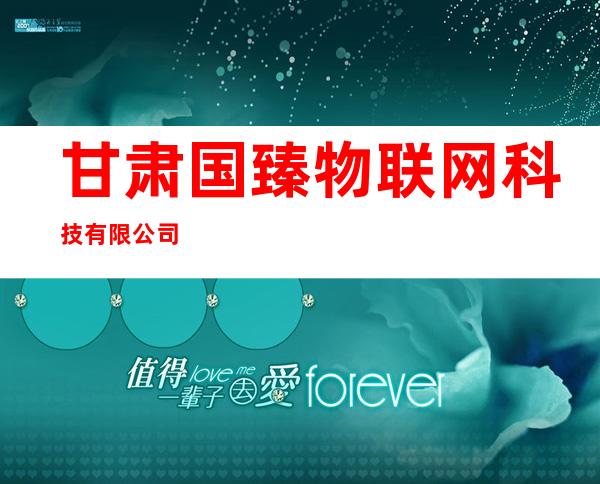 甘肃国臻物联网科技有限公司