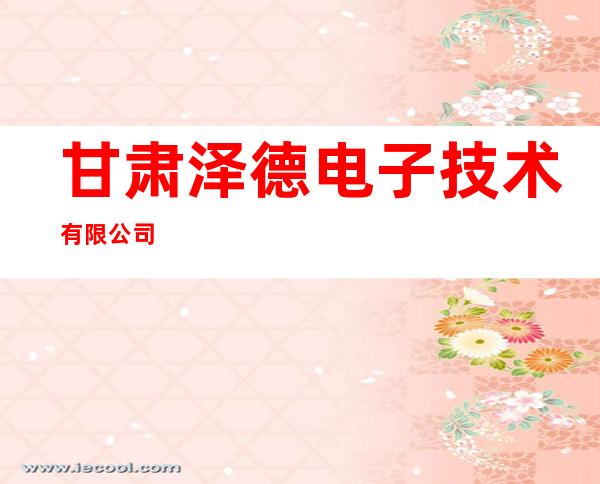 甘肃泽德电子技术有限公司