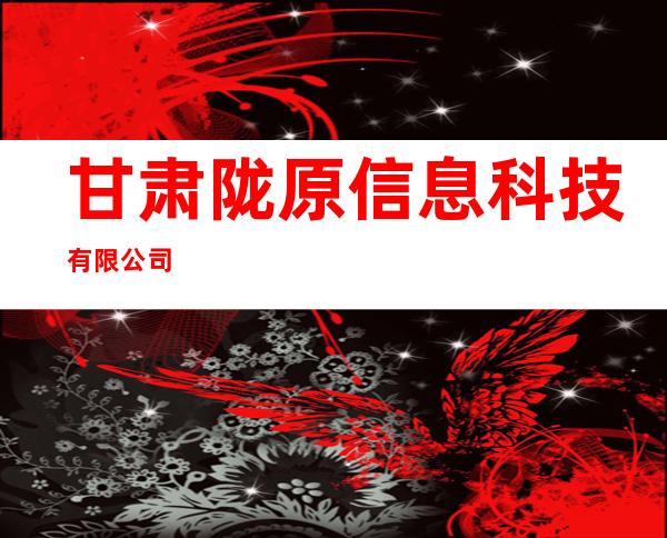 甘肃陇原信息科技有限公司