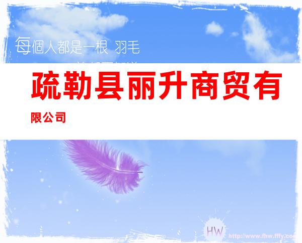疏勒县丽升商贸有限公司