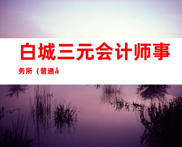 白城三元会计师事务所(普通合伙)
