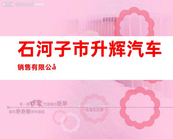 石河子市升辉汽车销售有限公司
