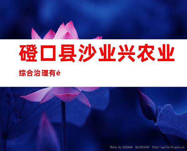 磴口县沙业兴农业综合治理有限责任公司