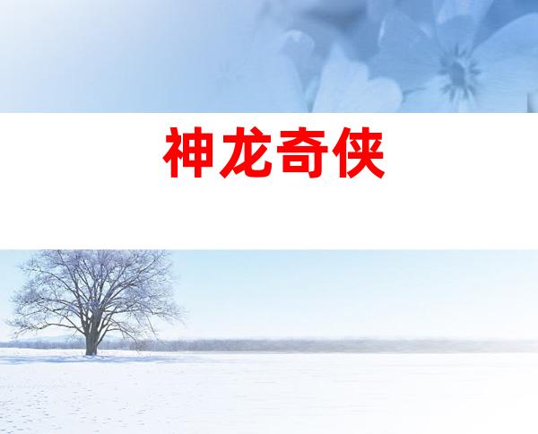 神龙奇侠